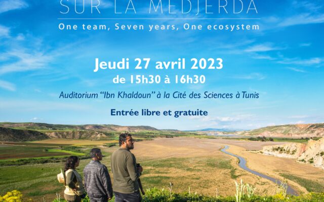 Photo14-Affiche film